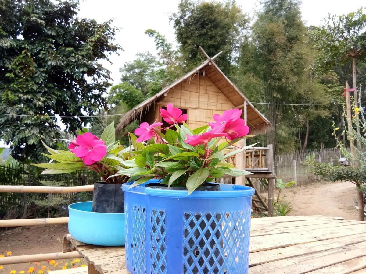 Baan Aingdoi Homestay, Чіанґдау Екстер'єр фото