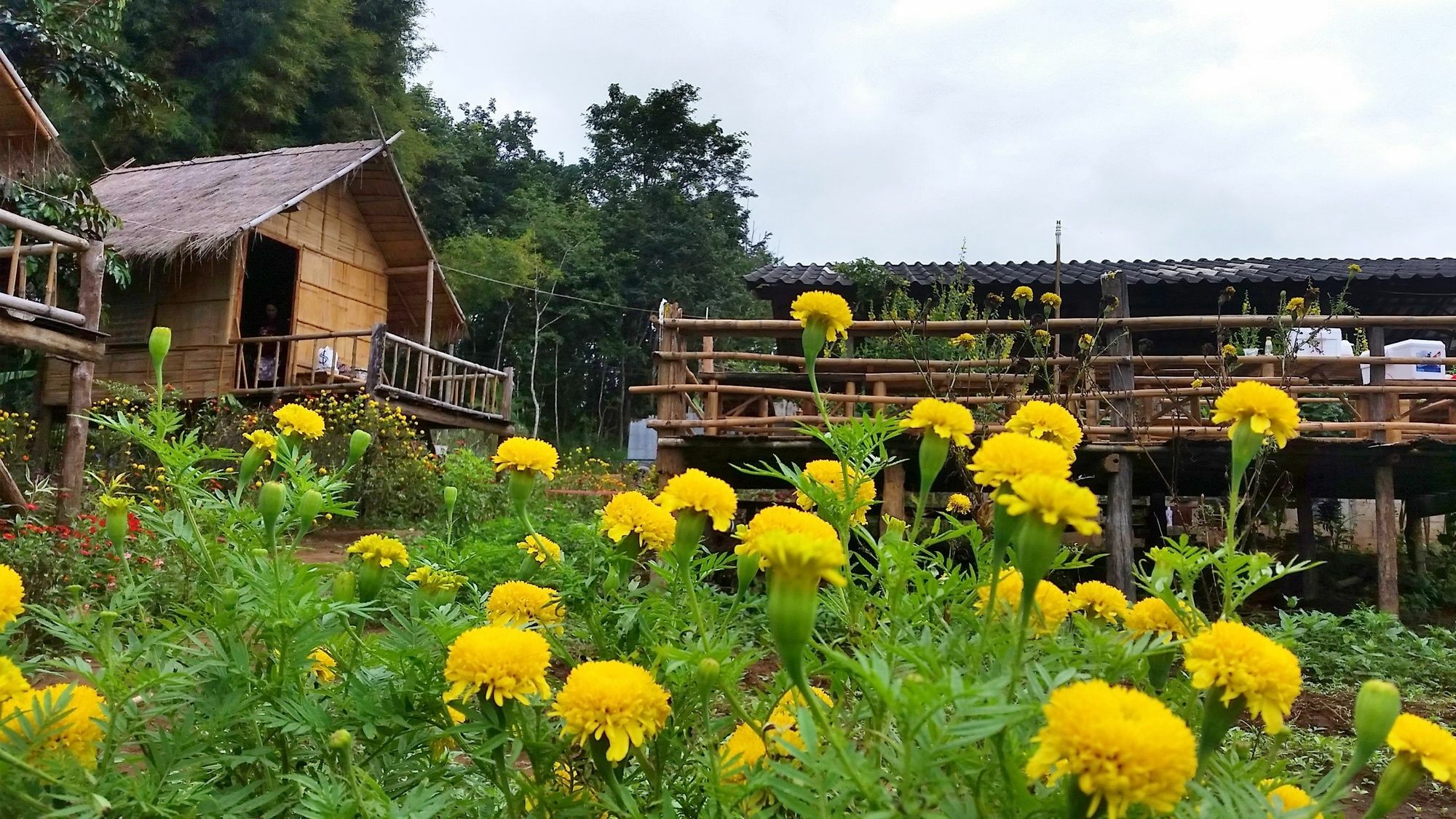 Baan Aingdoi Homestay, Чіанґдау Екстер'єр фото