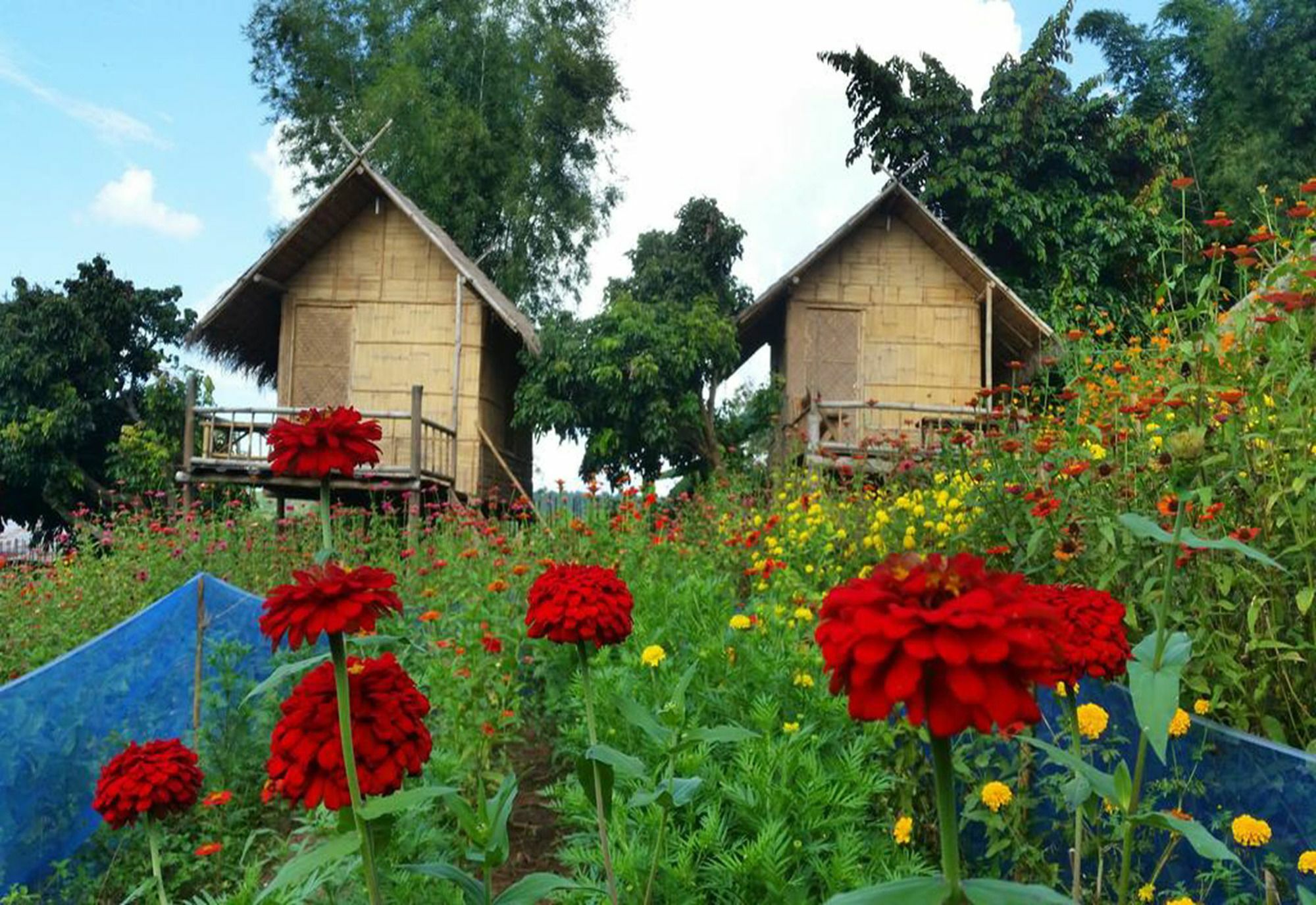 Baan Aingdoi Homestay, Чіанґдау Екстер'єр фото