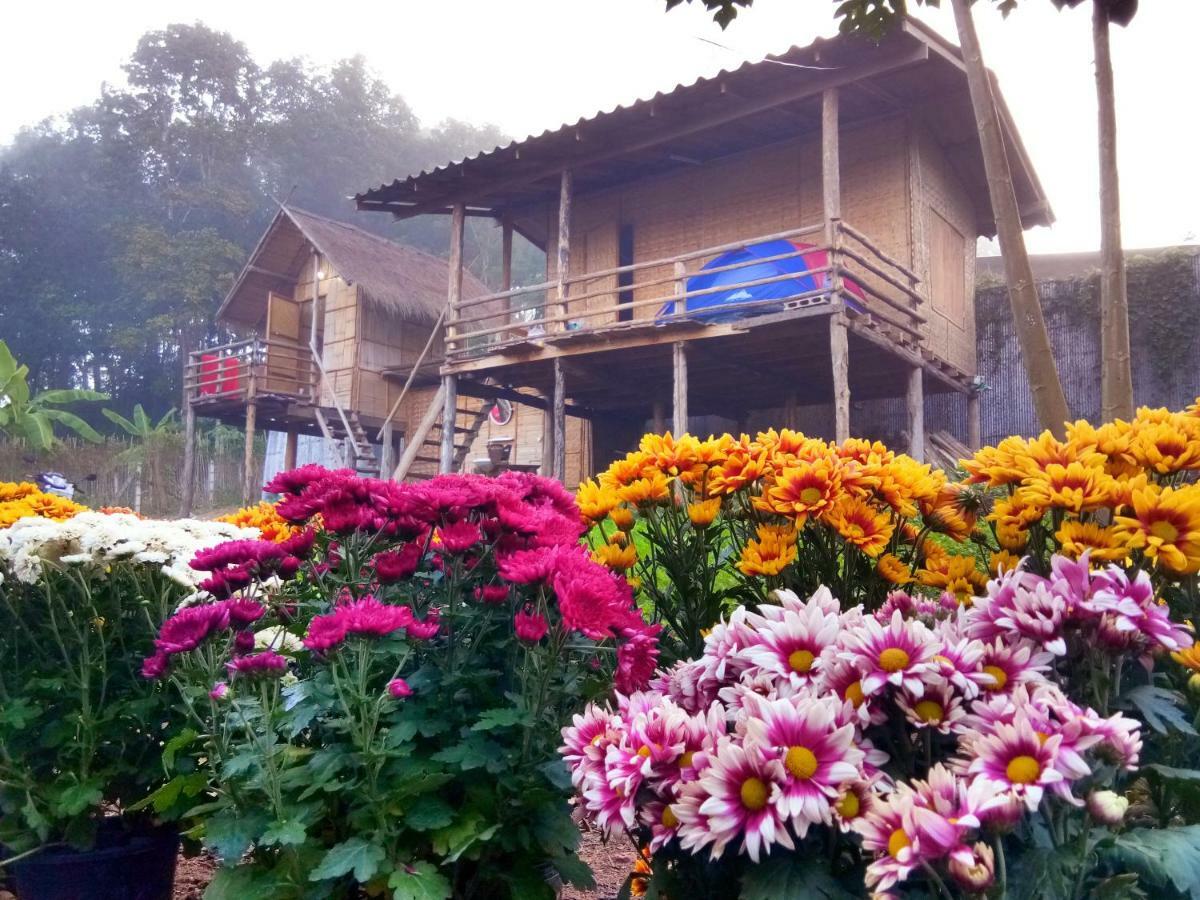 Baan Aingdoi Homestay, Чіанґдау Екстер'єр фото