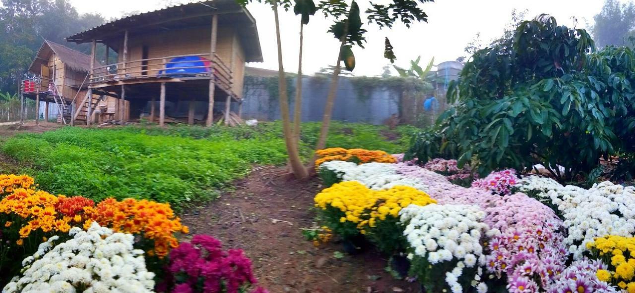 Baan Aingdoi Homestay, Чіанґдау Екстер'єр фото