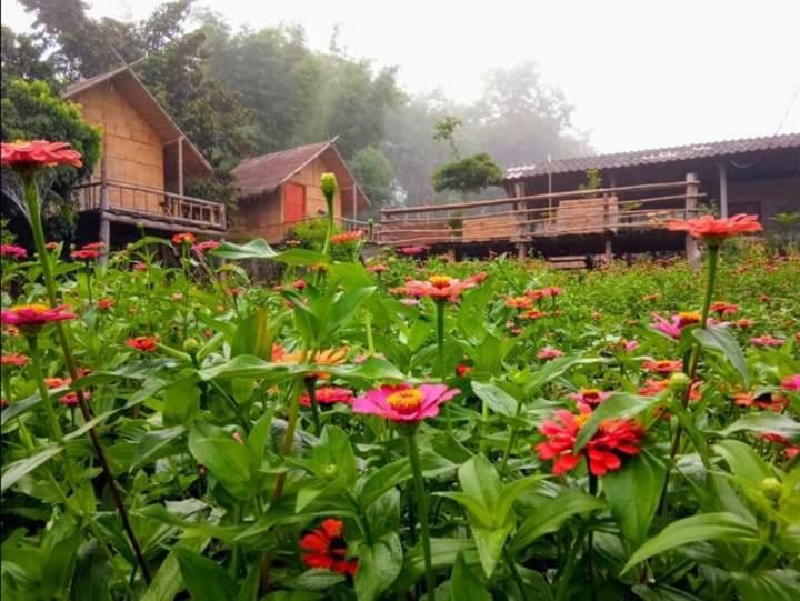 Baan Aingdoi Homestay, Чіанґдау Екстер'єр фото
