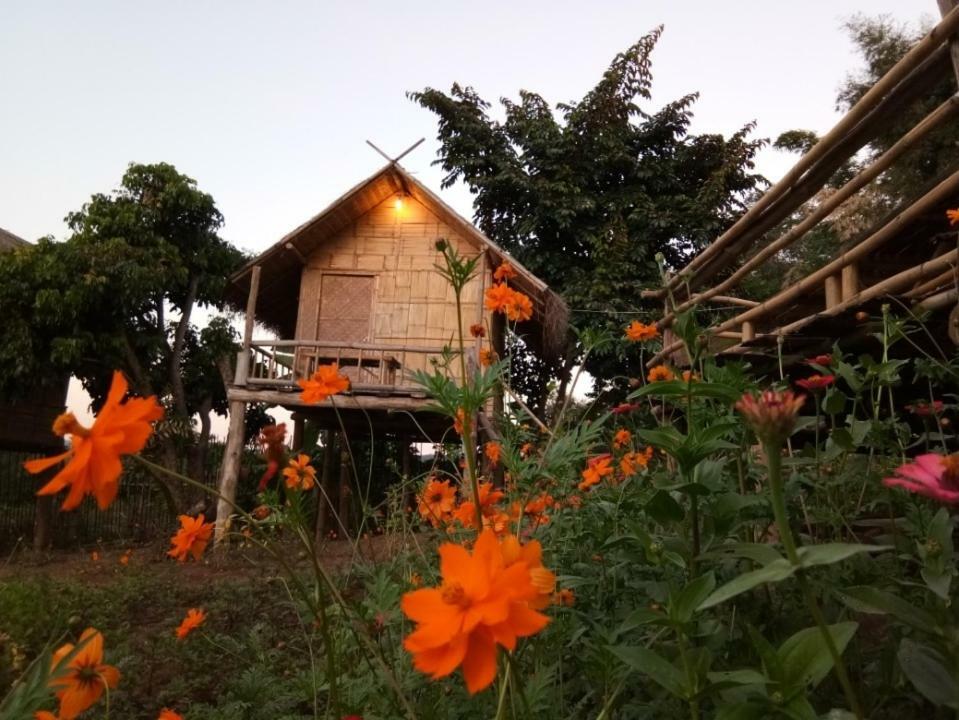 Baan Aingdoi Homestay, Чіанґдау Екстер'єр фото