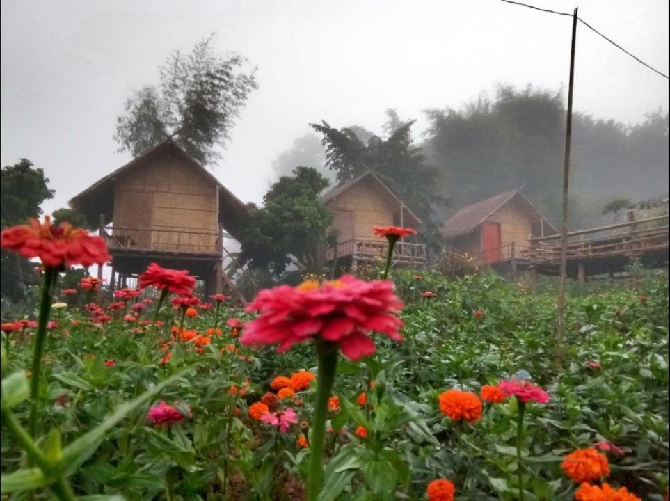 Baan Aingdoi Homestay, Чіанґдау Екстер'єр фото